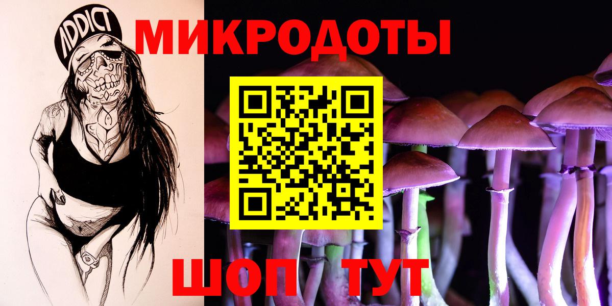 МЕФ Бердск