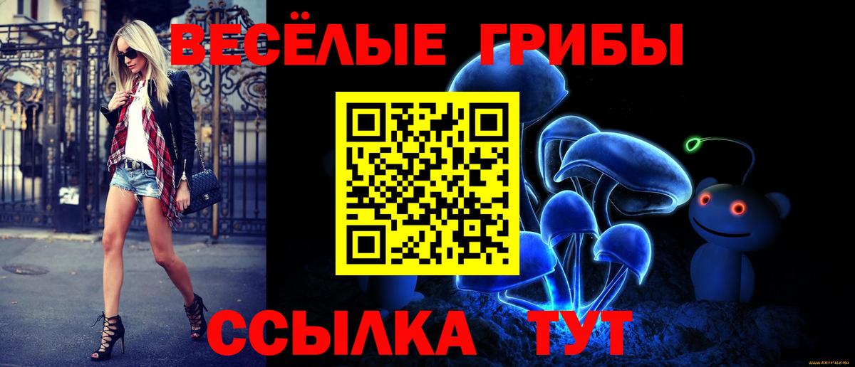 Бердск  как найти наркотики  Вход с VPN  Галлюциногенные грибы Magic Shrooms 